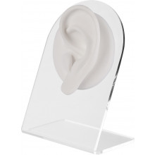 Anatomisches Ohr-Display (L) - Weiß