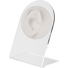 Anatomisches Ohr-Display (R) - Weiß
