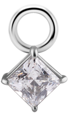 SS 316 CHARMS FOR SEGMENT RINGS - mod. 63 